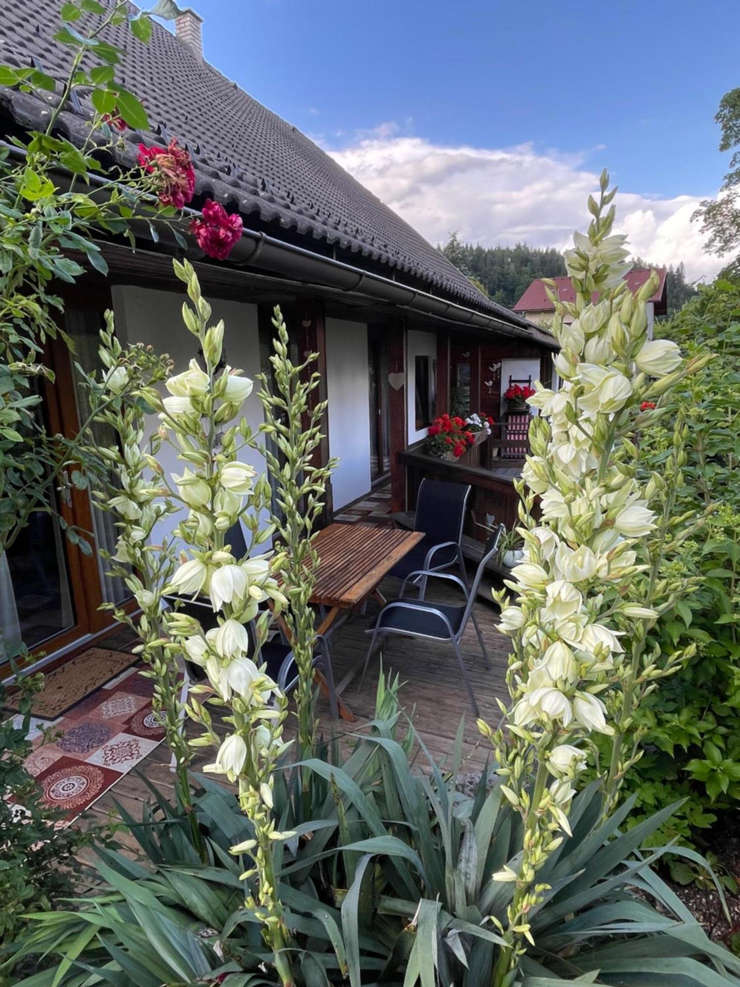 Apartments Wrolich Latschach ober dem Faakersee Luaran gambar